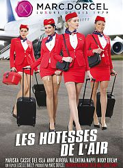 Стюардессы